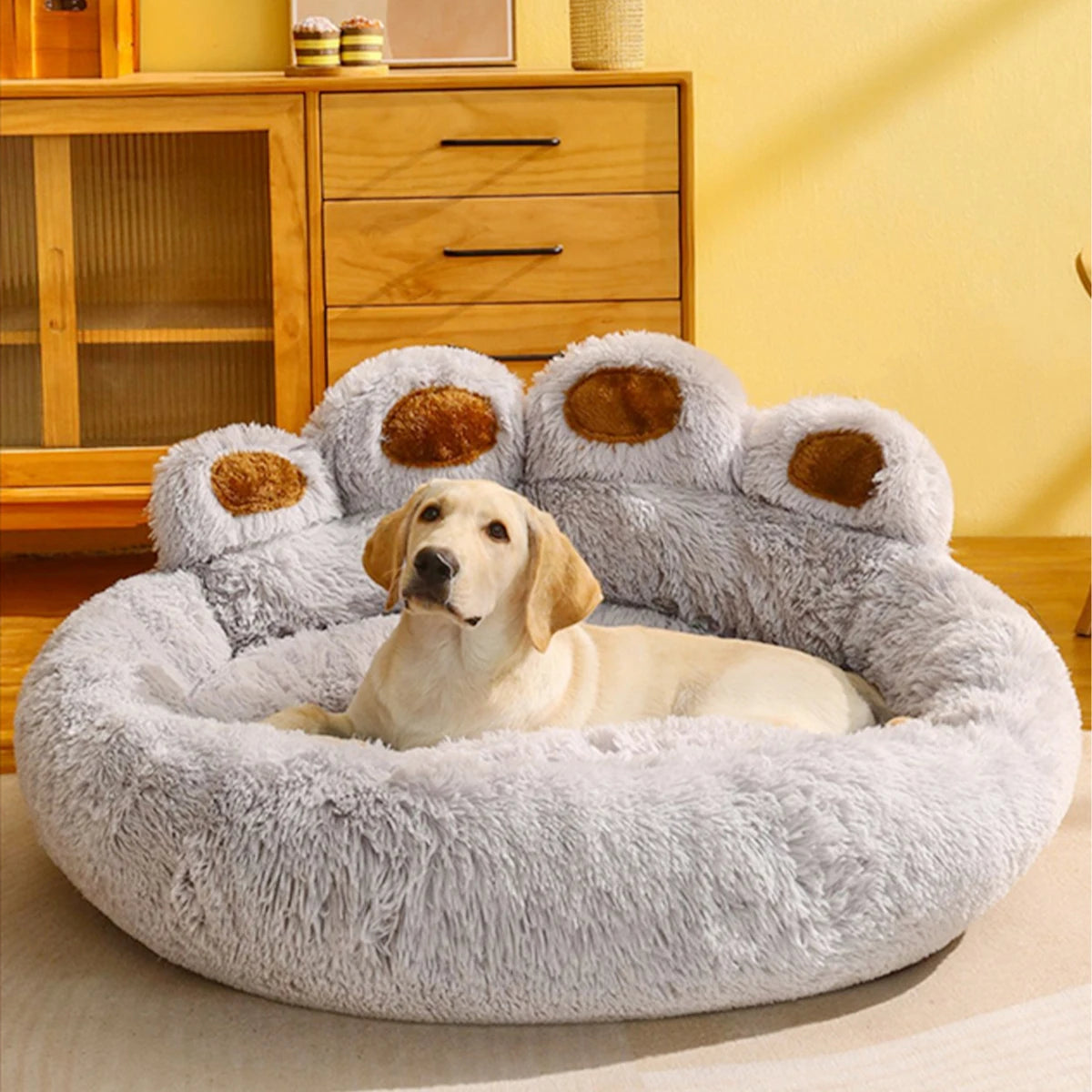 Dog Comfort Essentials