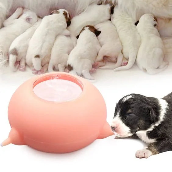 Portable Milk Feeding Bowl