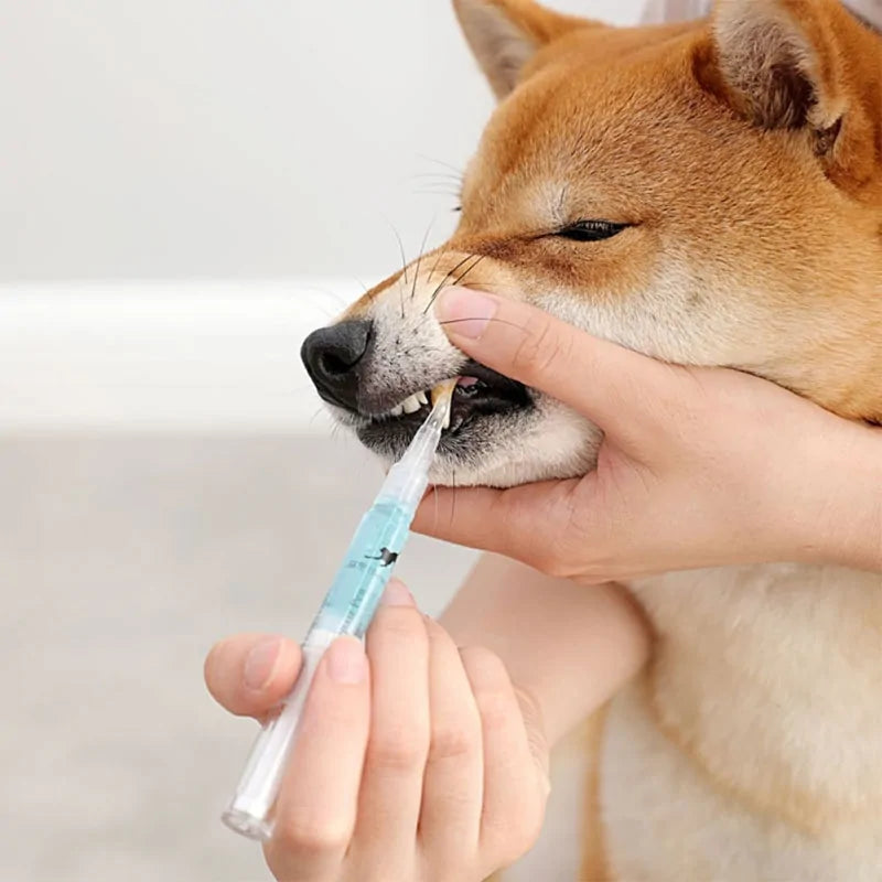 Practical Teeth Cleaning Tool