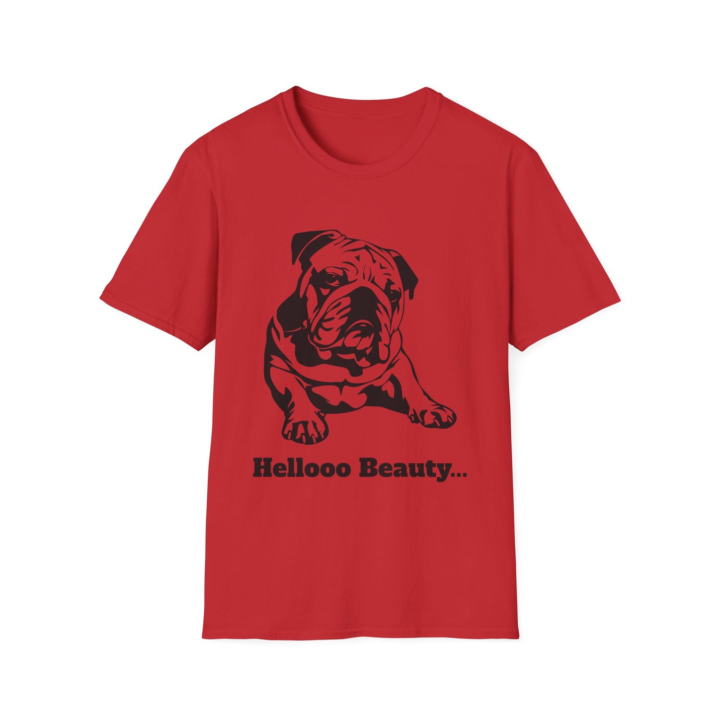 Hello Beauty Unisex Soft style T-Shirt