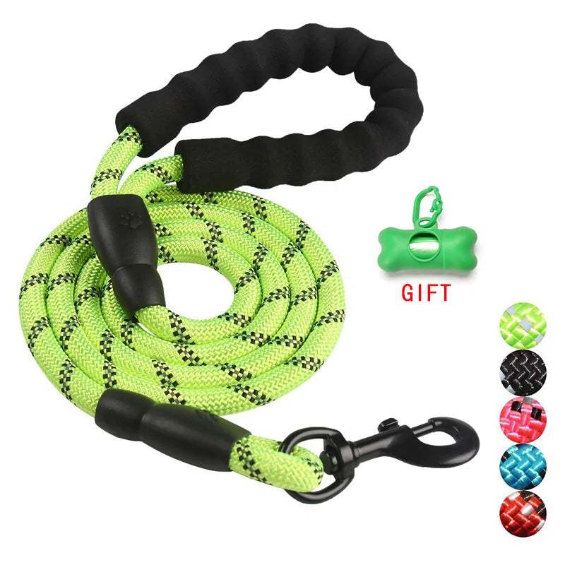 Walking Pet Training Leash