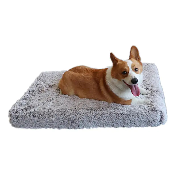 Plush Washable Bed