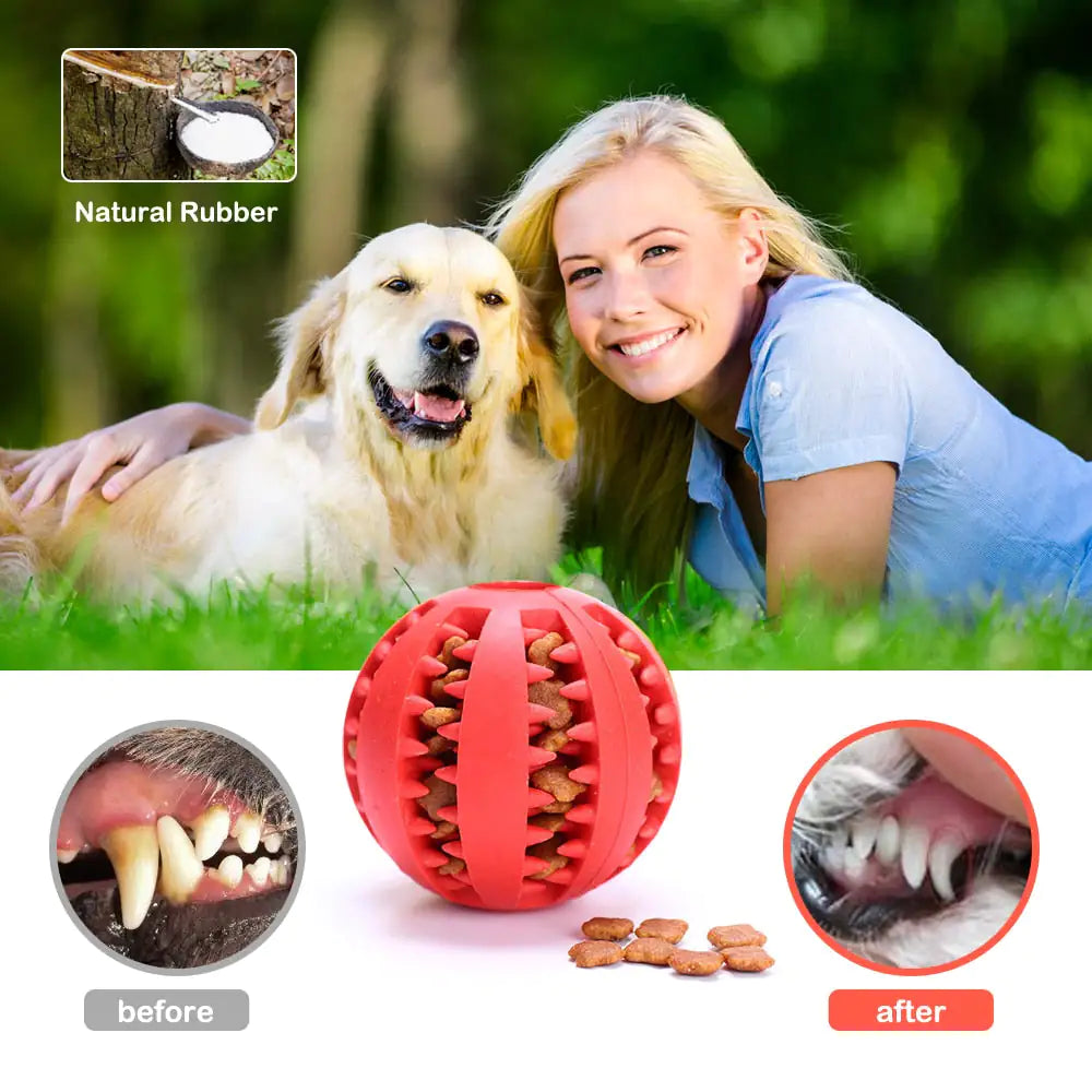 Interactive Pets Rubber Ball