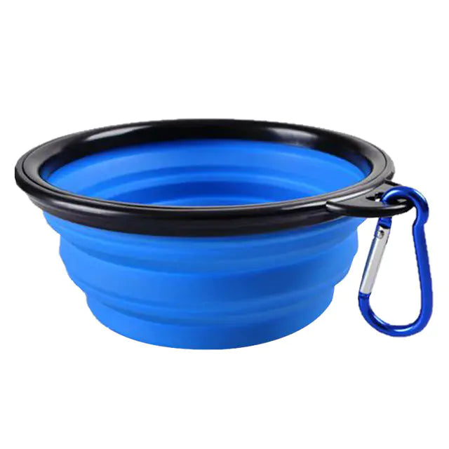 Collapsible Bowl