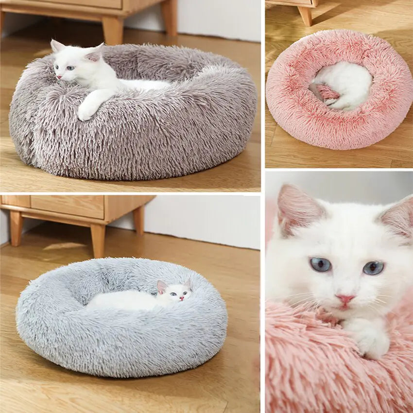 Comfy Donut Dog Bed