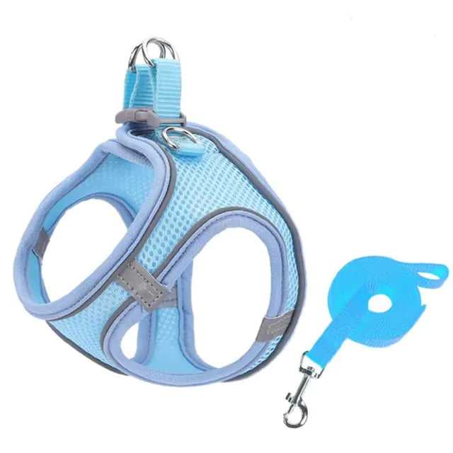 Escape Proof Small Harness Leash Set