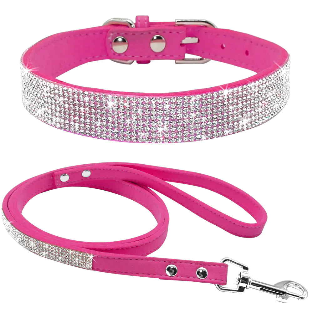 Stylish Pet Collar