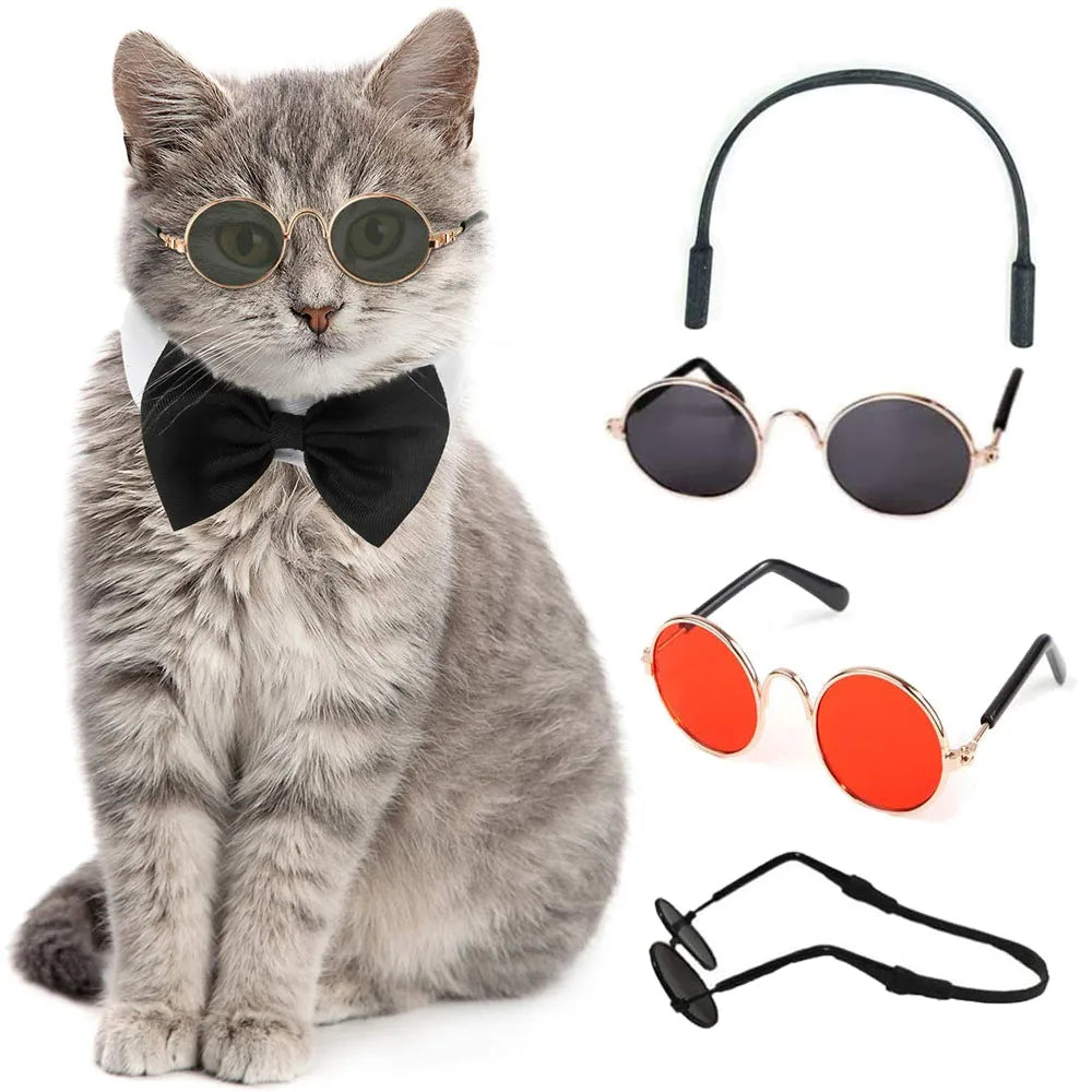 Cool Cat Round Sunglasses