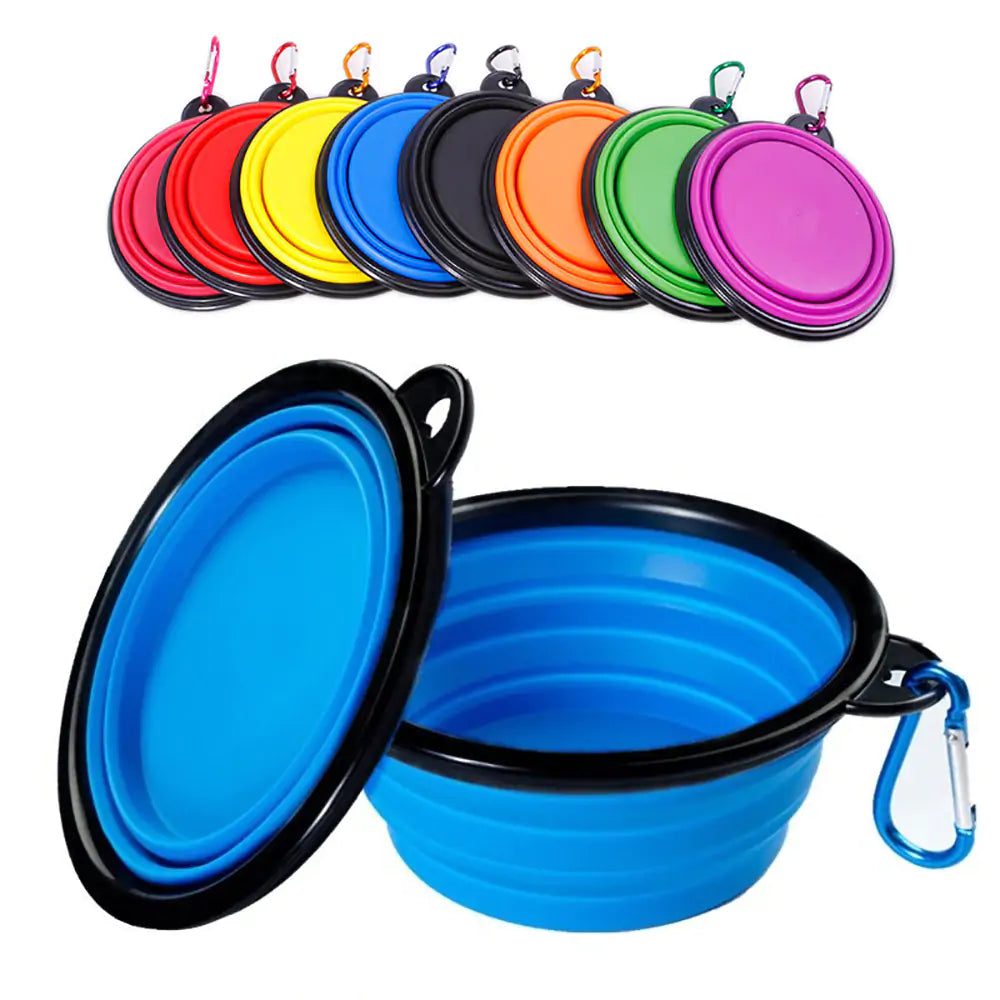 Collapsible Bowl