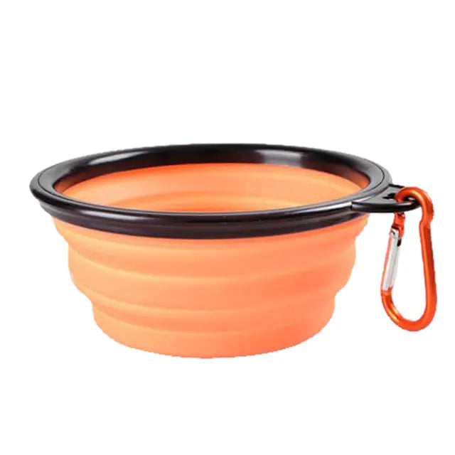 Collapsible Bowl