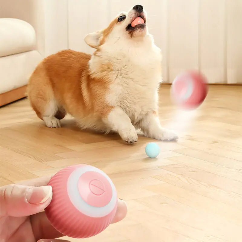 Smart Funny Auto Rolling Puppy Ball