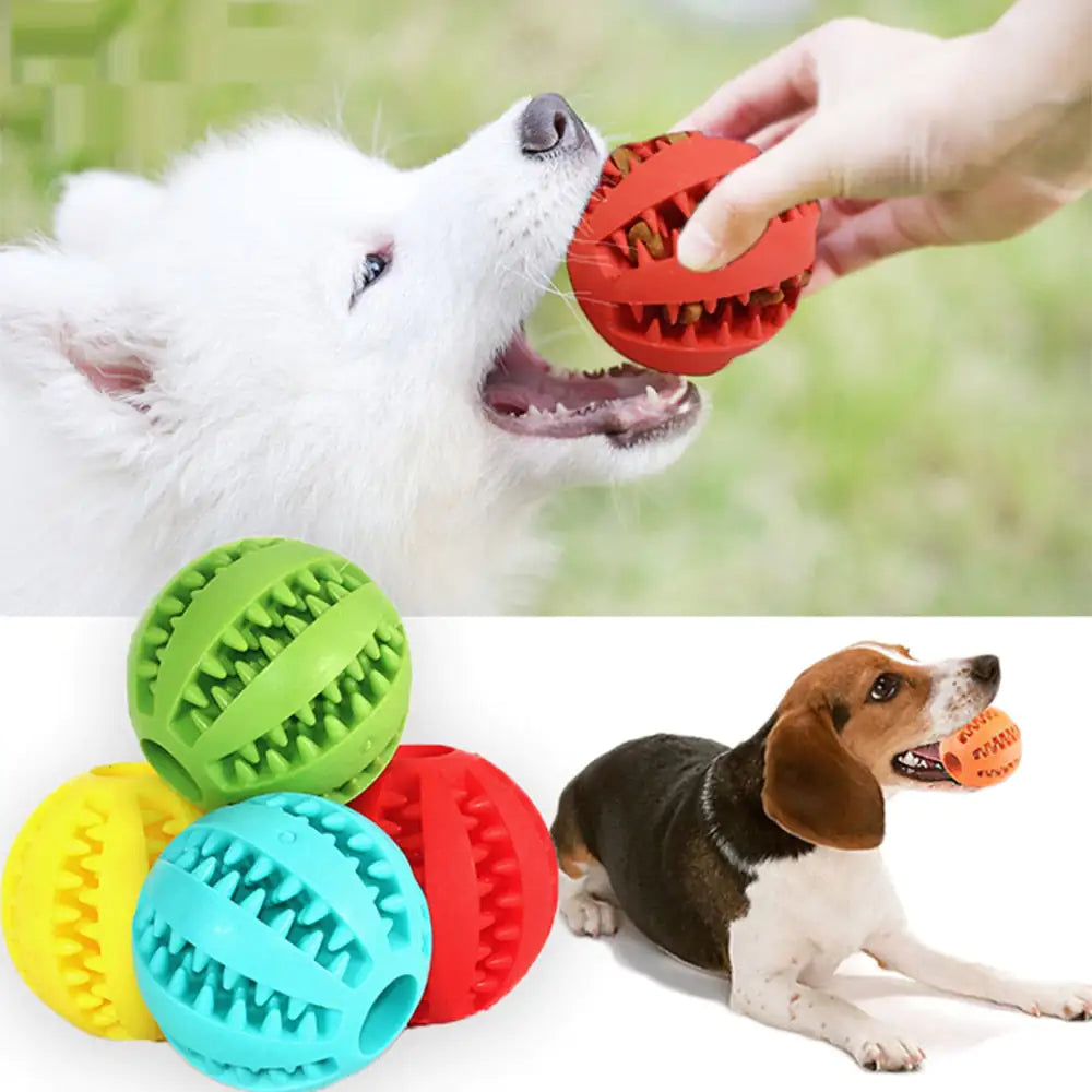 Interactive Pets Rubber Ball