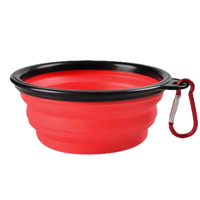 Collapsible Bowl