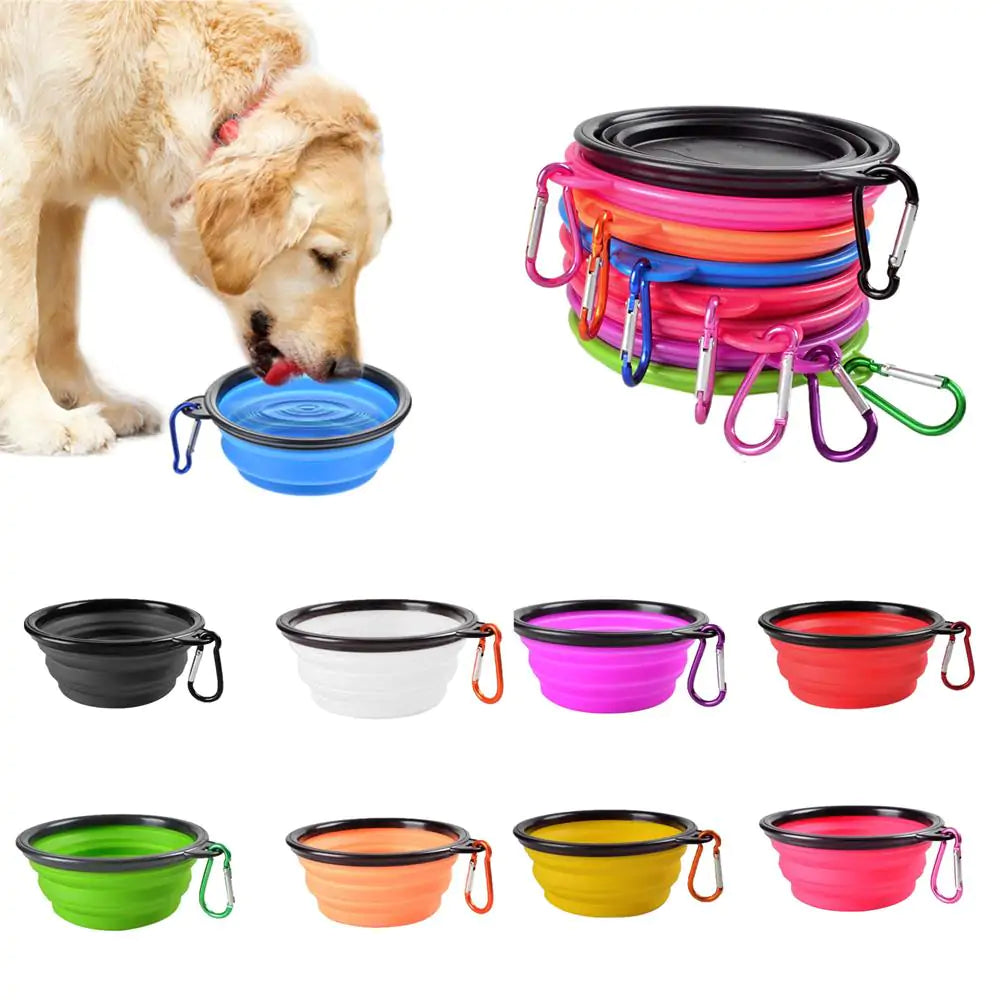 Collapsible Bowl