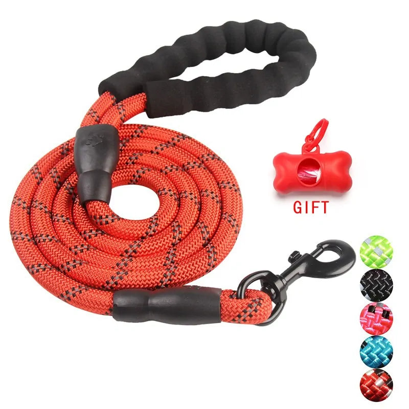 Walking Pet Training Leash