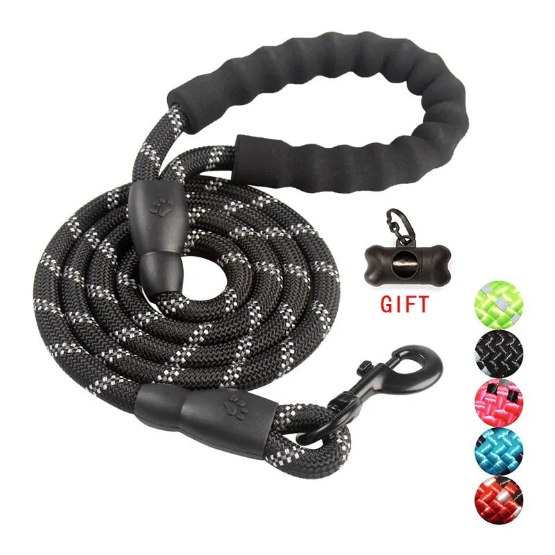 Walking Pet Training Leash