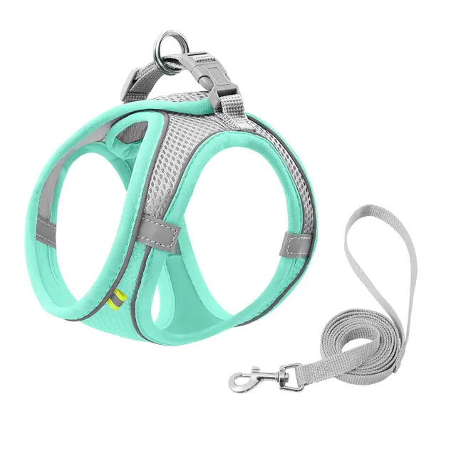 Escape Proof Small Harness Leash Set