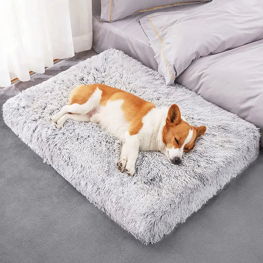 Plush Washable Bed