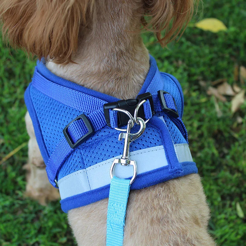 Secure Reflective Harness Set For Small Pets