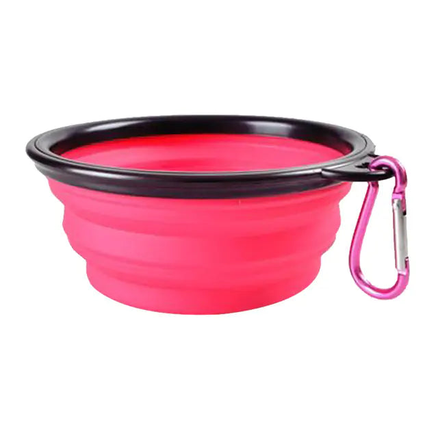 Collapsible Bowl