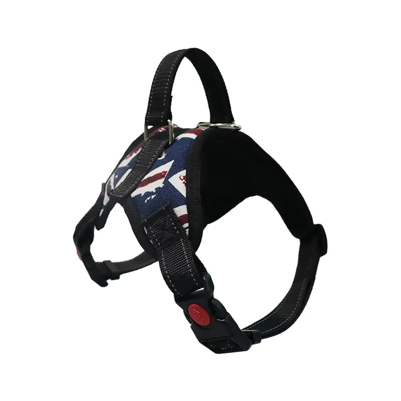 Pet Walking Harness