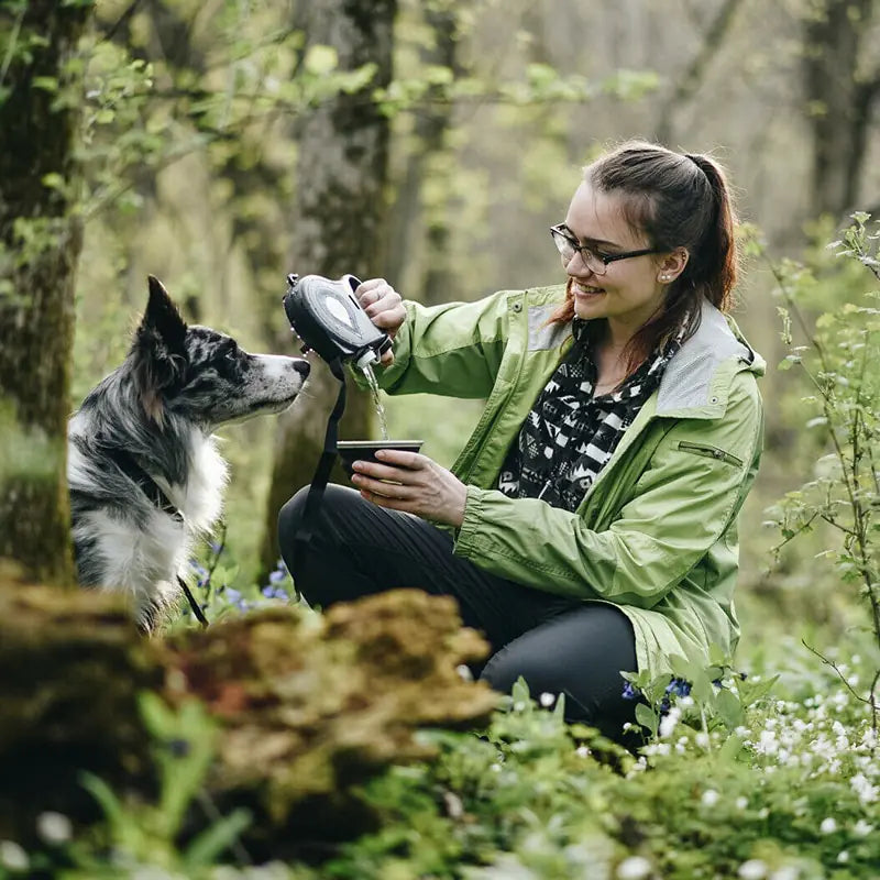 Multifunctional Leash With Accessories