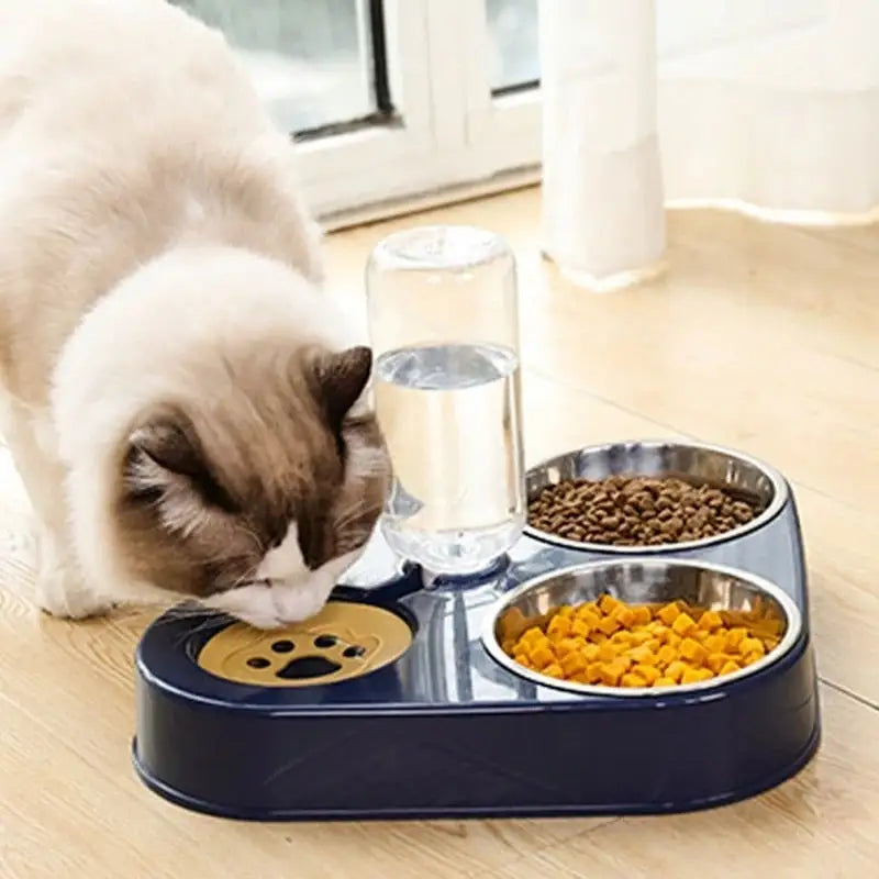 Automatic 3 in 1  Food and Drink Bowl