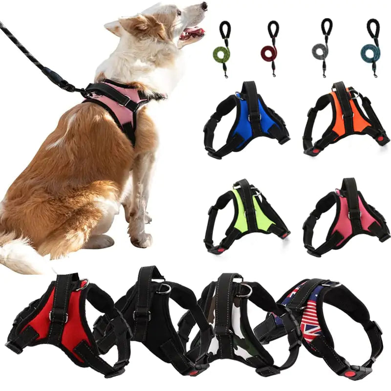 Pet Walking Harness