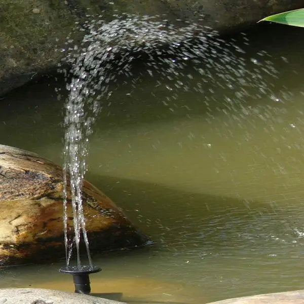 Solar Powered Bird Fountain