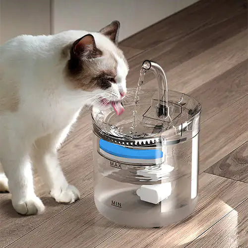 Automatic Drinking Bowl Filter