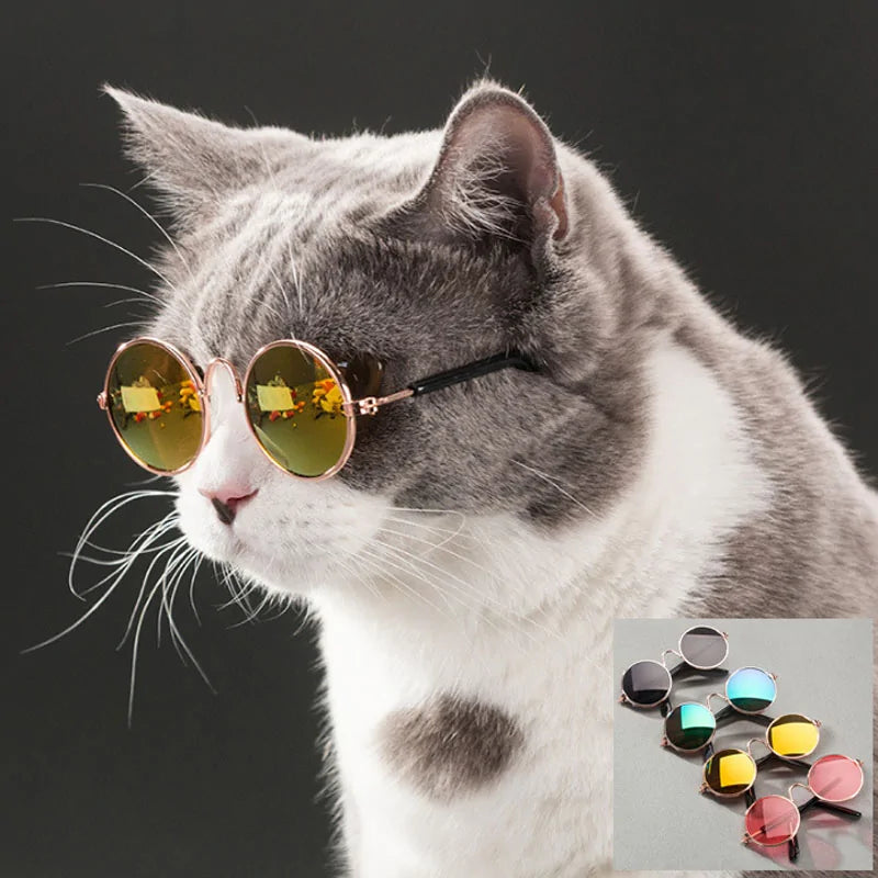 Round Pet Sunglasses