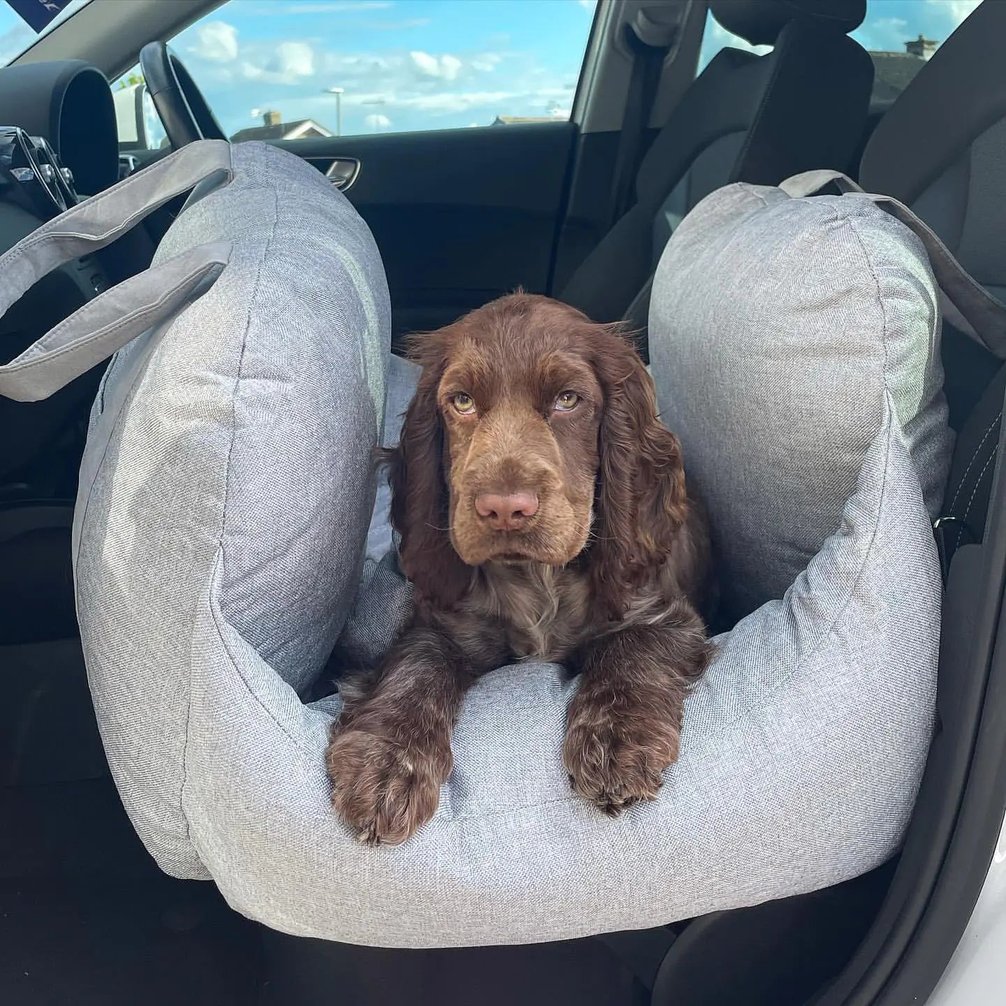 Comfortable Travel Bed