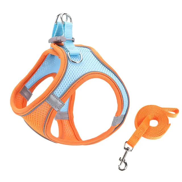 Escape Proof Small Harness Leash Set