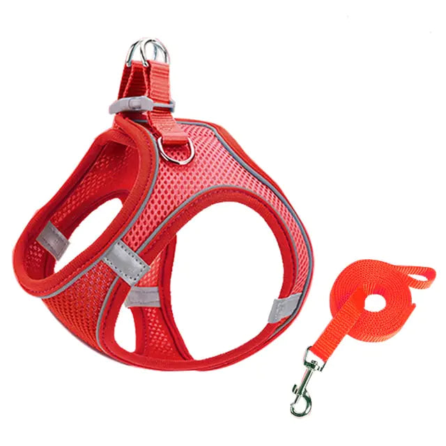 Escape Proof Small Harness Leash Set