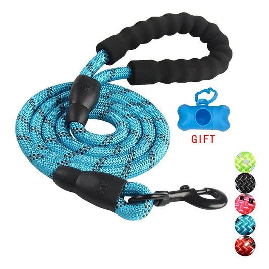 Walking Pet Training Leash