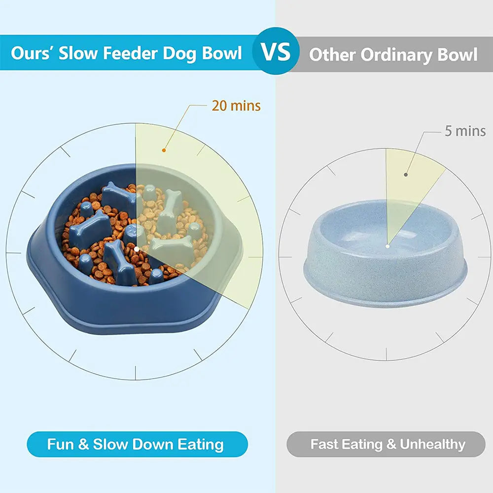 Slow Feeder Bone Design Bowl