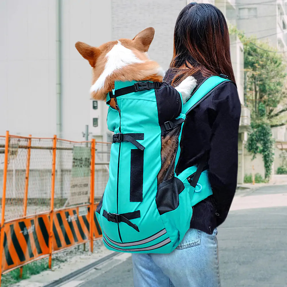 Practical Dog Carrier