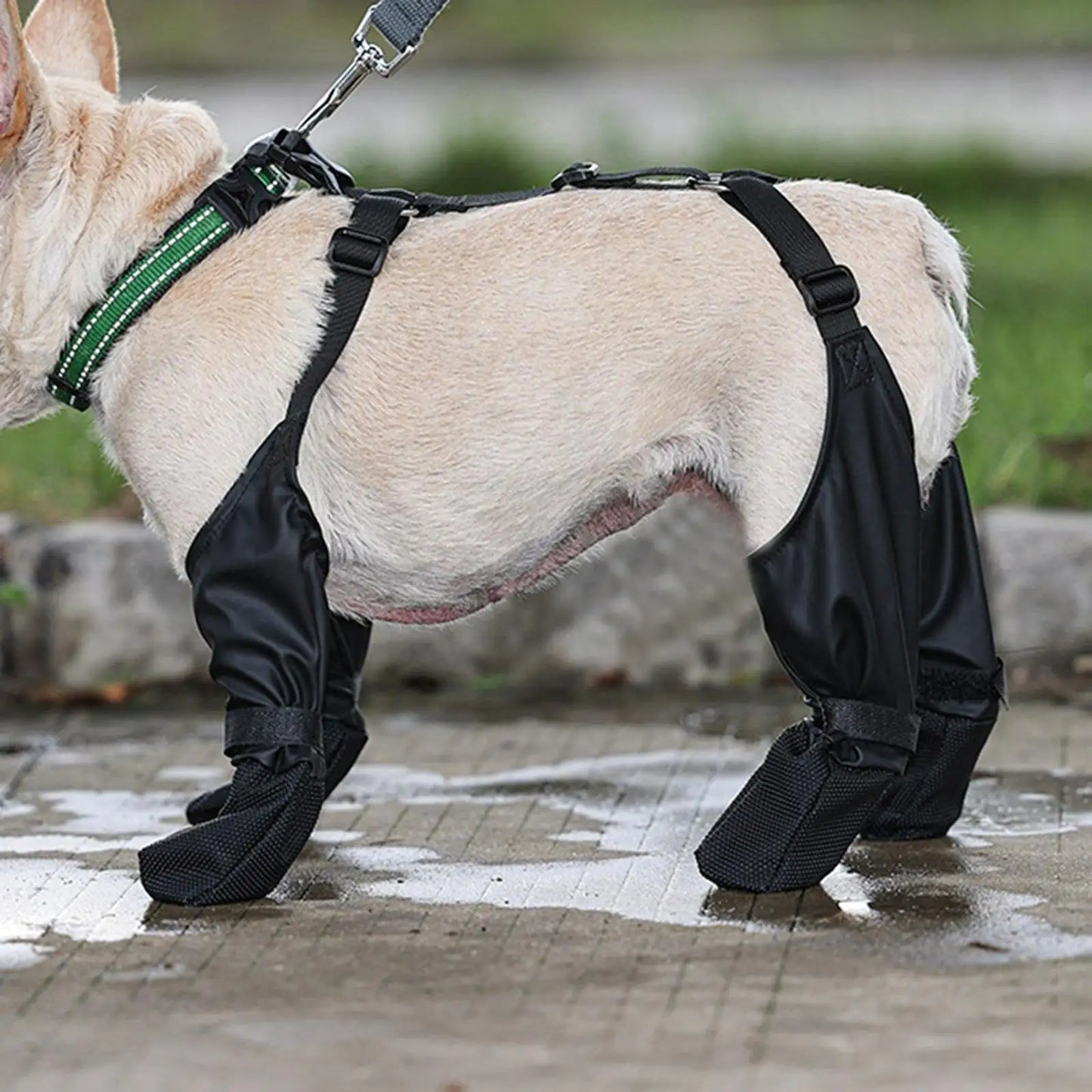 Suspender Dog Boots