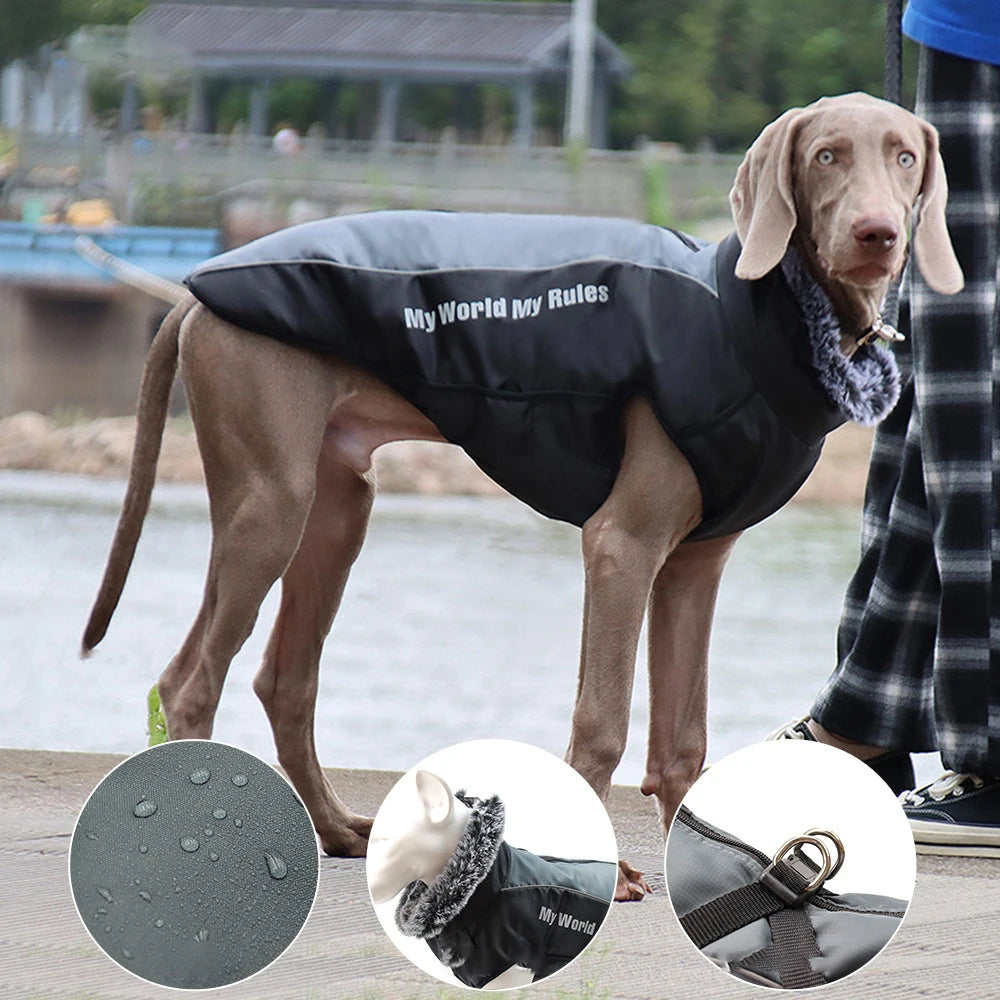 Waterproof Cotton Coat for Dogs