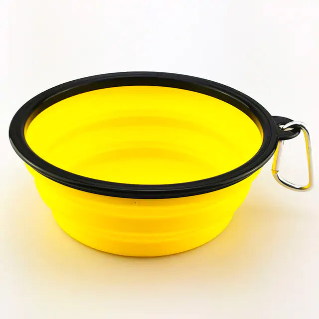 Collapsible Bowl