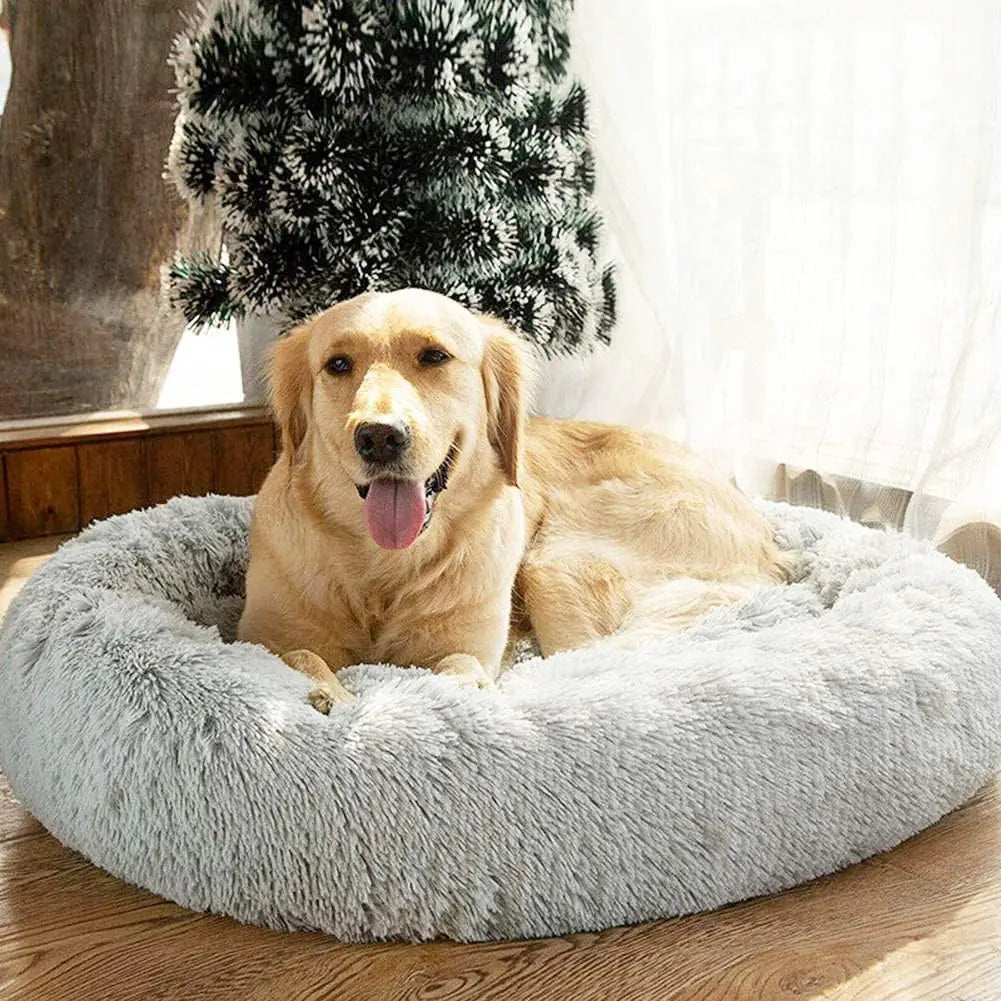 Comfy Donut Dog Bed