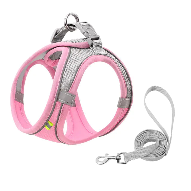 Escape Proof Small Harness Leash Set