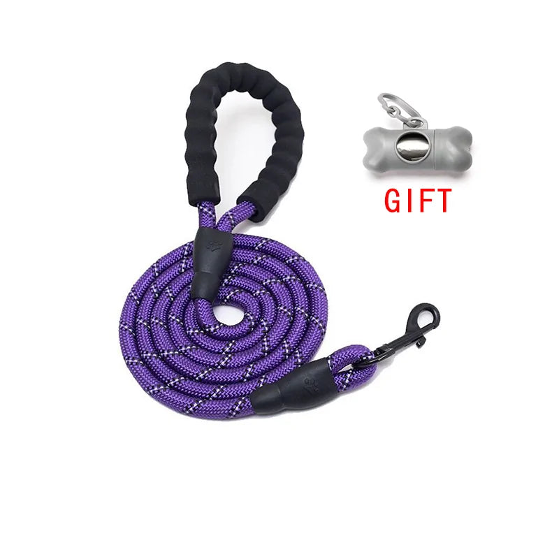 Walking Pet Training Leash