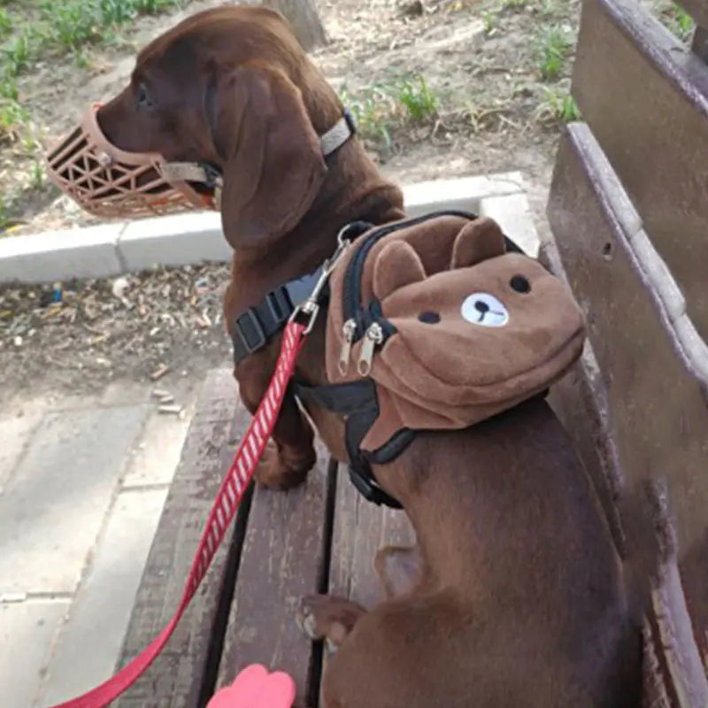 Comfortable Pet Backpack