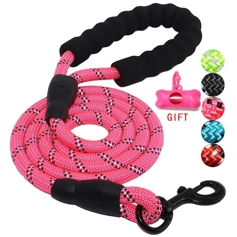 Walking Pet Training Leash