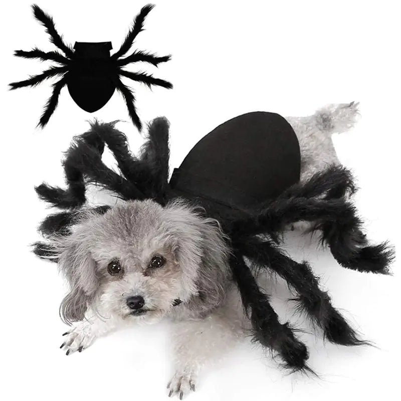 Halloween Spider Costume for Pets