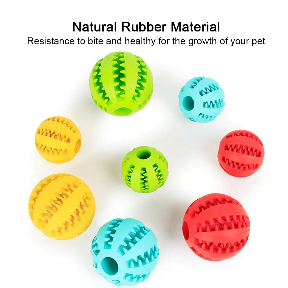 Interactive Pets Rubber Ball