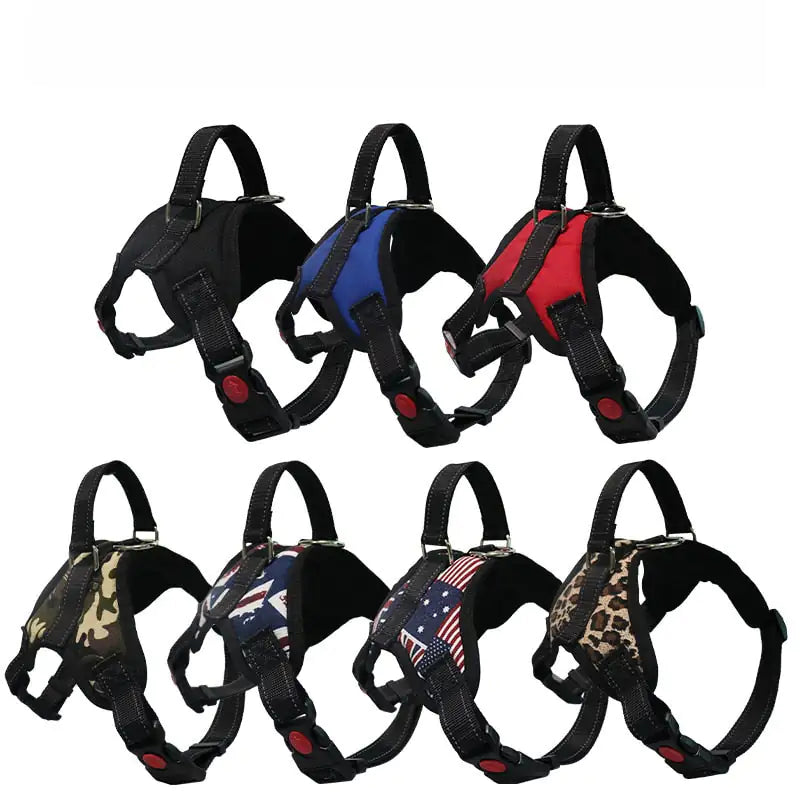 Pet Walking Harness