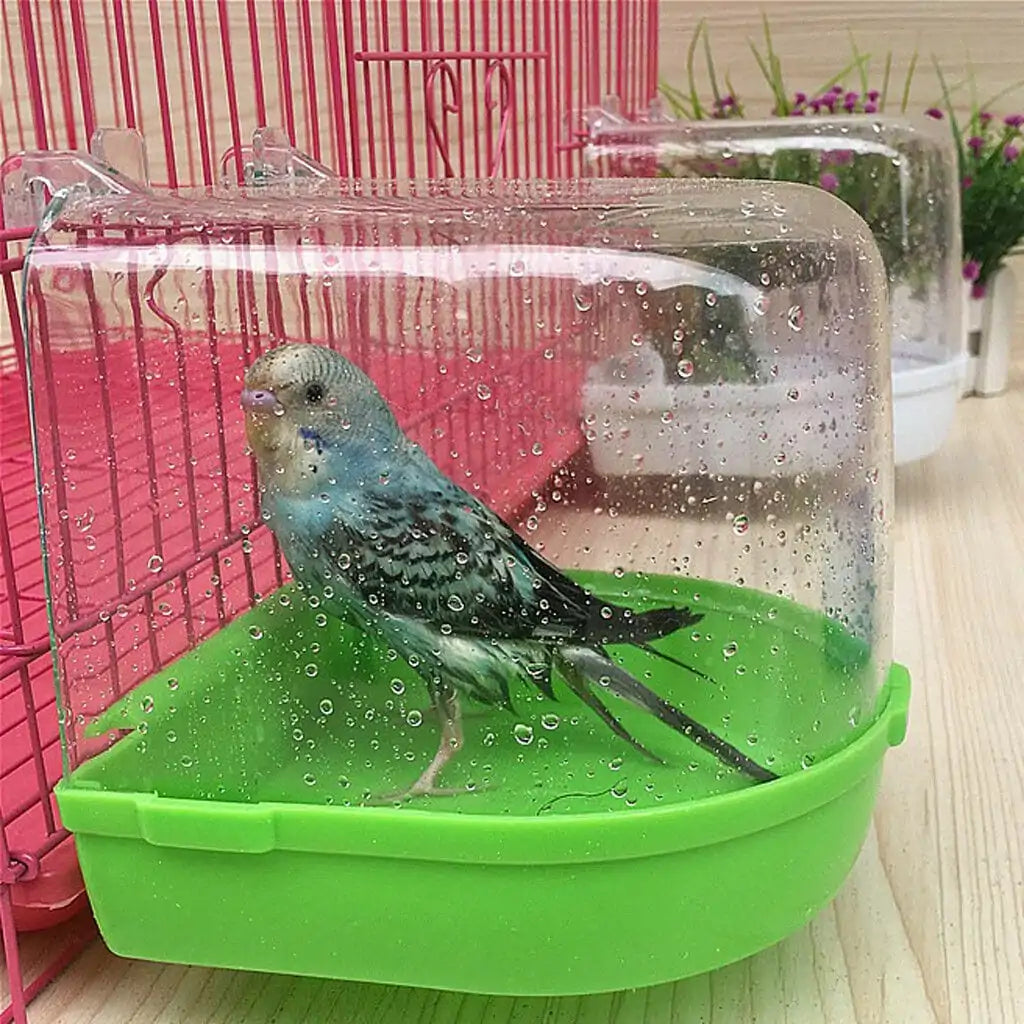 Parrot Bathtub Box