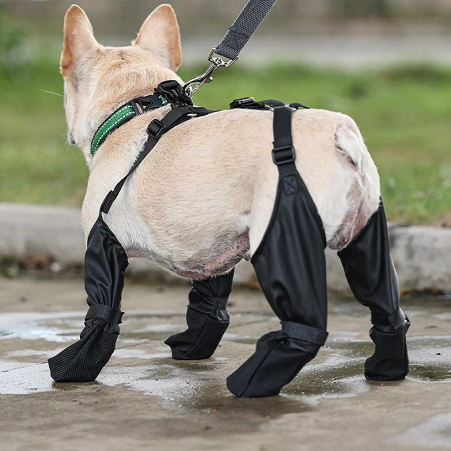 Suspender Dog Boots